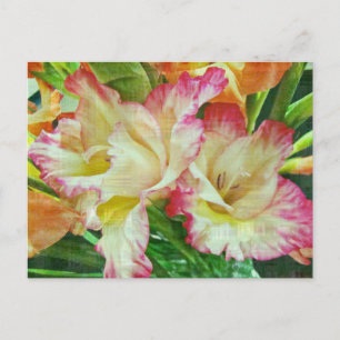 Carte Postale Gladiola texturé