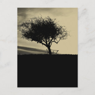 Carte Postale Glastonbury Hawthorn. Arbre sur Hill. Couleur Sepi