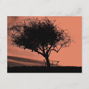 Carte Postale Glastonbury Hawthorn. Arbre sur Hill. Noir orange.