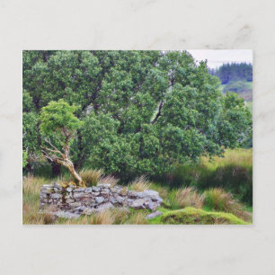 Carte Postale Glengesh Pass En Irlande Paysage