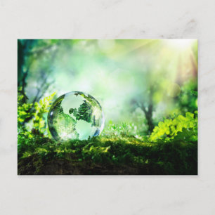 Carte Postale globe cristal dans une forêt verte