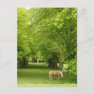 Carte Postale Gloucestershire, UK