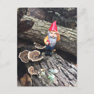 Carte Postale Gnome d'automne