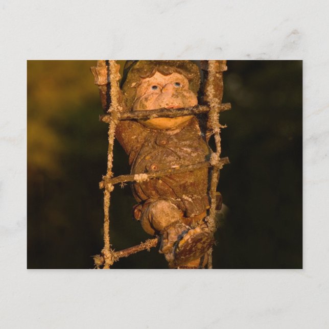 Carte Postale gnome de jardin (Devant)