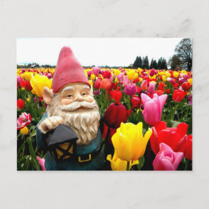 Carte Postale Gnome Petals