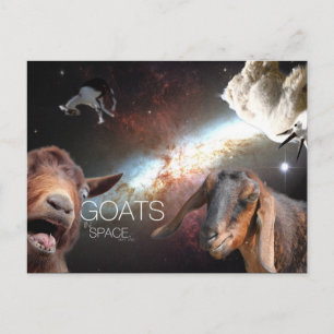 Carte Postale Goats.In.Space