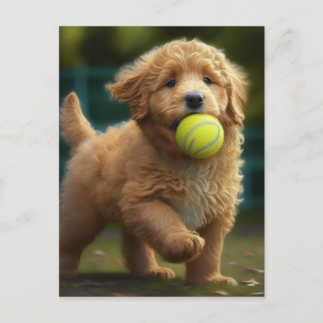 Carte Postale Golden Doodle Chiot Joue Ball (Devant)