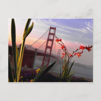 Carte Postale Golden Gate Bridge Vue du jardin1