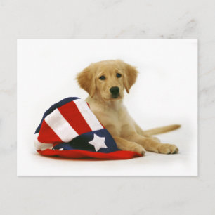 Carte Postale Golden Puppy et oncle Sam Casquette