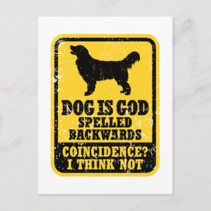 Carte Postale Golden Retriever