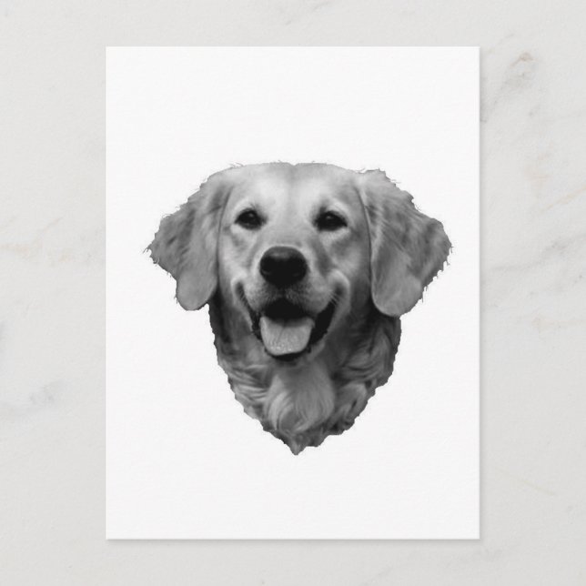 Carte Postale Golden retriever (Devant)