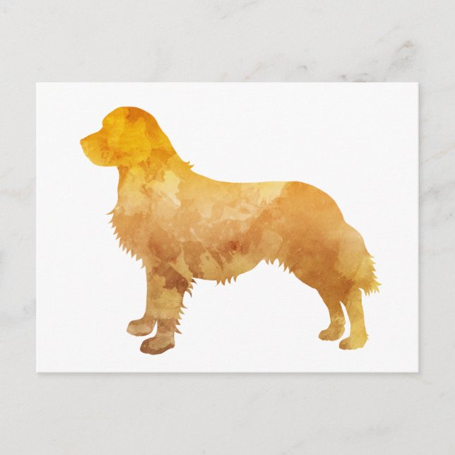 Carte Postale Golden Retriever (Devant)