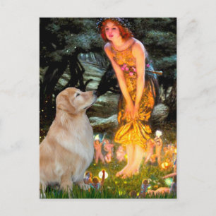 Carte Postale Golden Retriever 11 - Veille de la Saint-Jean