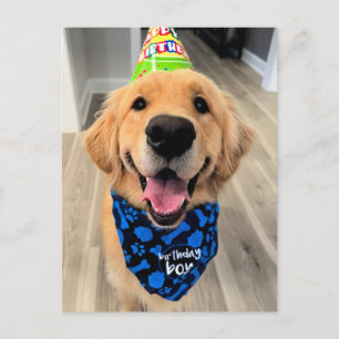 Carte Postale Golden Retriever avec Casquette d'anniversaire et