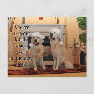 Carte Postale Golden Retriever avec chapeaux santa sur un jamais