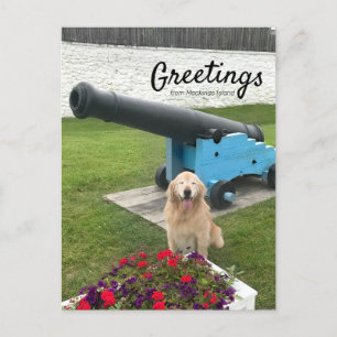Carte Postale Golden Retriever Chien Mackinac Island Travel