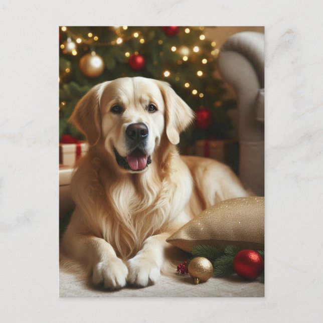 Carte Postale Golden Retriever Chien Noël (Devant)