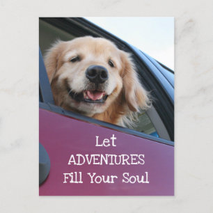 Carte Postale Golden Retriever Chien Voyage Aventures en toute s