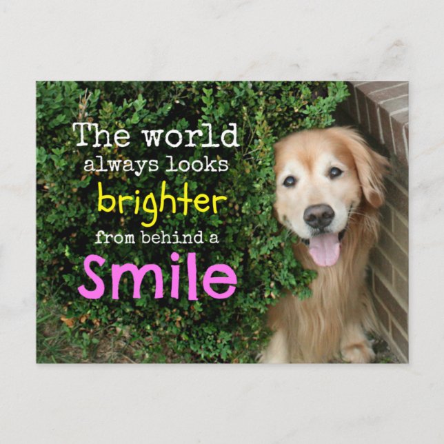 Carte Postale Golden Retriever Derrière Un Sourire (Devant)