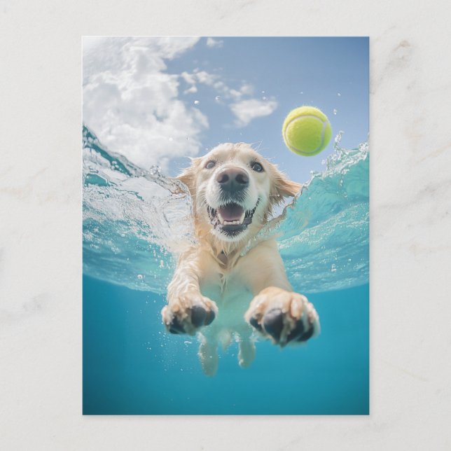Carte Postale Golden Retriever Diving Tennis Ball Sous l'eau (Devant)