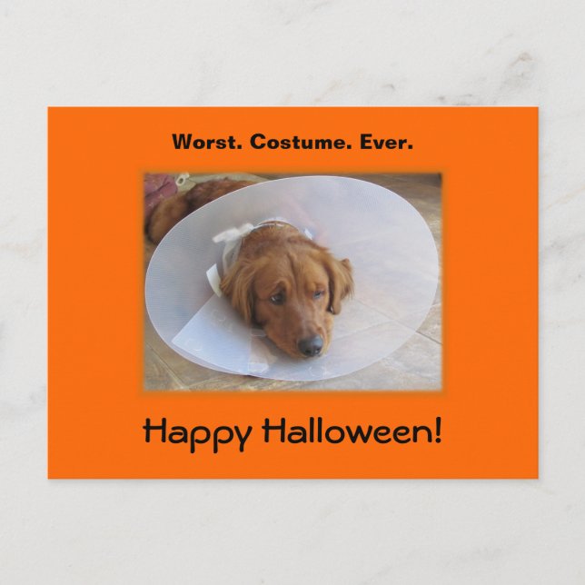 Carte postale Golden Retriever Halloween (Devant)