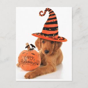 Carte Postale Golden Retriever Halloween Design