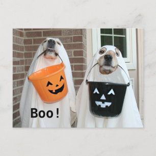 Carte Postale Golden Retriever Halloween Ghosts
