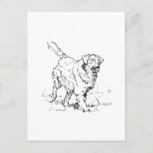 Golden Retriever heureux, Personnalisé