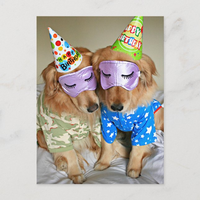 Carte Postale Golden Retriever in Pajamas Anniversaire (Devant)
