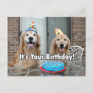 Carte Postale Golden Retriever Joyeux gâteau d'anniversaire