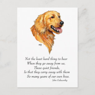 Carte Postale Golden Retriever Keepsaké