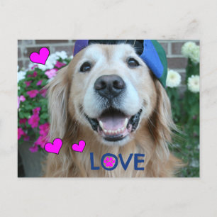 Carte Postale Golden Retriever Love