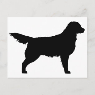 Carte Postale Golden Retriever (noir)