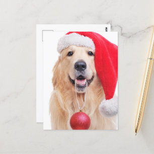 Carte Postale Golden Retriever Père Noël