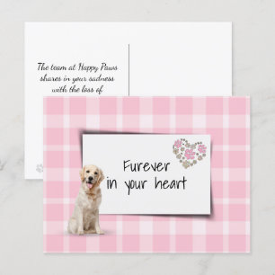 Carte Postale Golden Retriever Pet Sympathy Loss