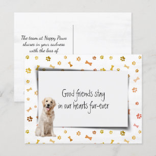 Carte Postale Golden Retriever Pet Sympathy Loss