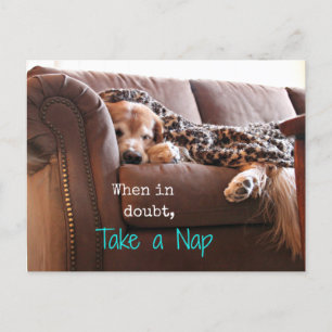 Carte Postale Golden Retriever Prenez une sieste
