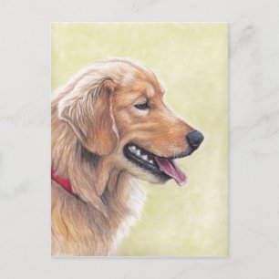 Carte postale Golden Retriever Profile Chien Art