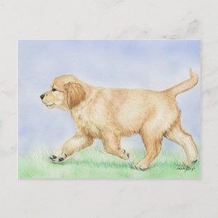 Carte postale Golden Retriever Puppy Art