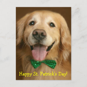 Carte Postale Golden Retriever St. Patrick's Day