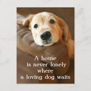 Carte Postale Golden Retriever Une Maison N'Est Jamais Seule