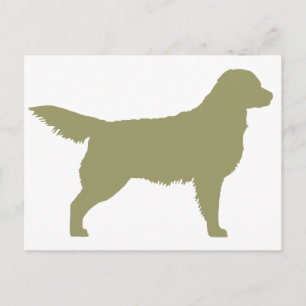 Carte Postale Golden Retriever (vert sauge)