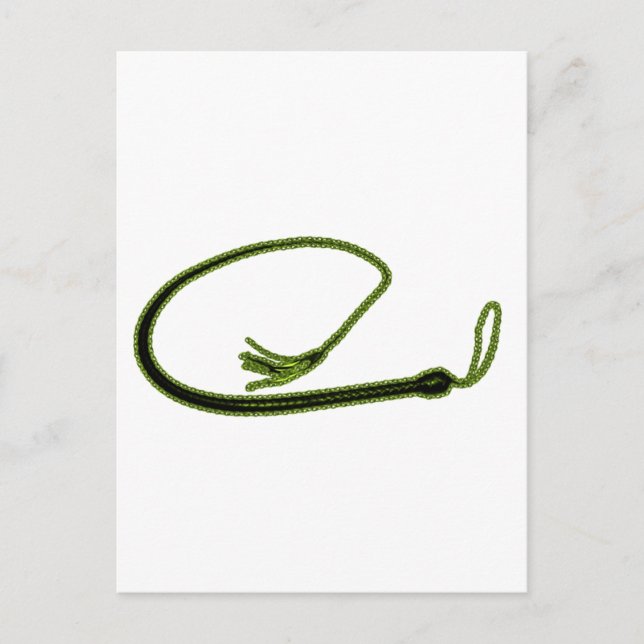 CARTE POSTALE GOLDEN WHIP (Devant)