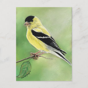 Carte postale "Goldfinch"
