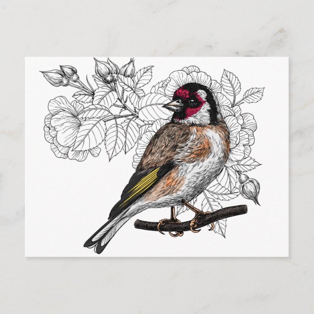 Carte Postale Goldfinch et rose (Devant)