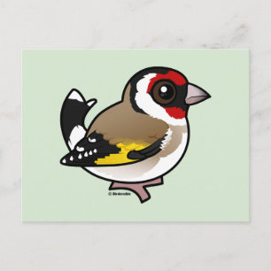 Carte Postale Goldfinch européen