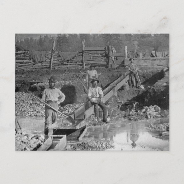 Carte Postale Goldminers Gold Rush Miners ~ California 1850 (Devant)