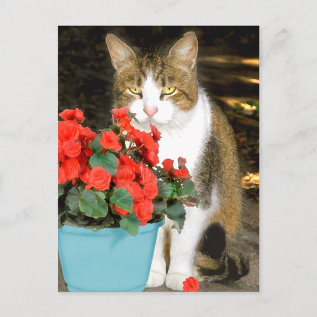 Carte postale "Goldy & Red Flowers" (Devant)
