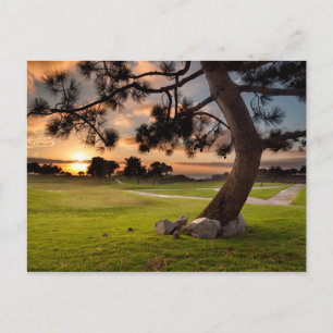Carte Postale Golf Course Sunset