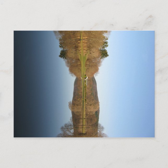 Carte Postale Golf inondé (Devant)